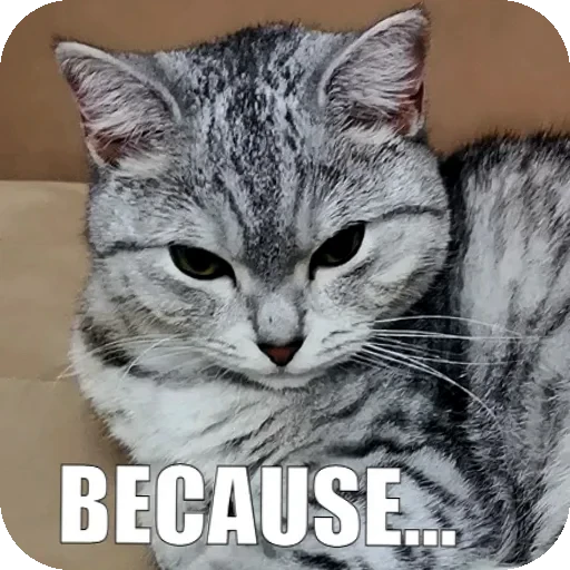 🥴 Стикер «Yuki» для Telegram