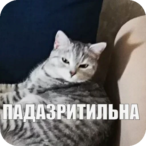 😑 Стикер «Yuki» для Telegram