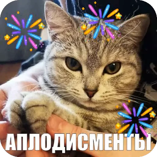 👏 Стикер «Yuki» для Telegram
