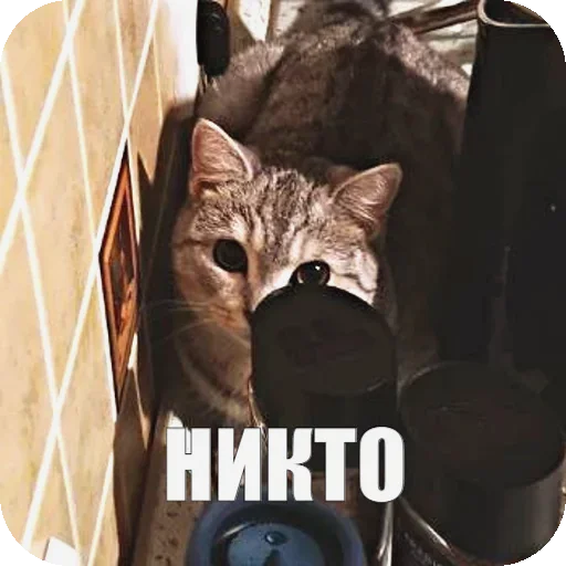 😎 Стикер «Yuki» для Telegram
