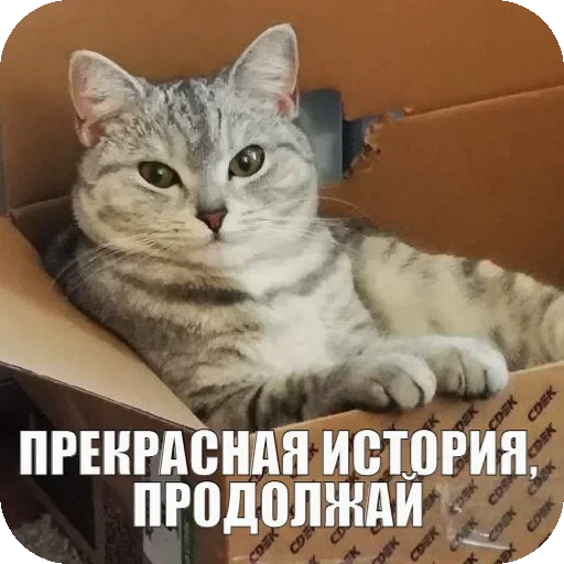 🤌 Стикер «Yuki» для Telegram