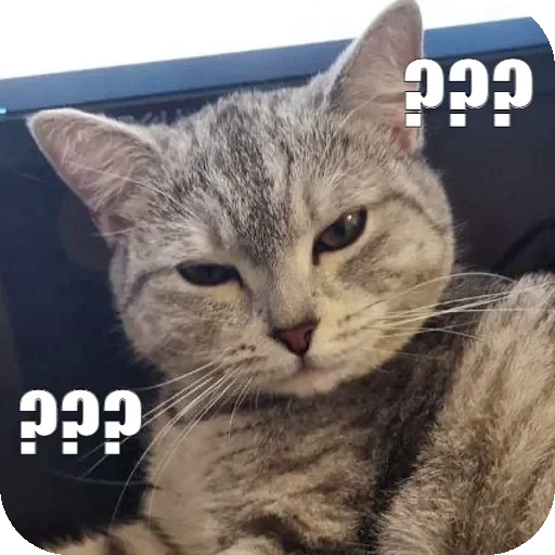 ❔ Стикер «Yuki» для Telegram