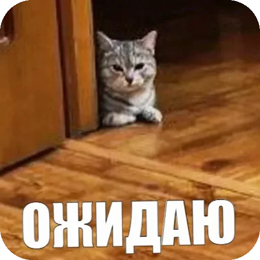 ⏳ Стикер «Yuki» для Telegram