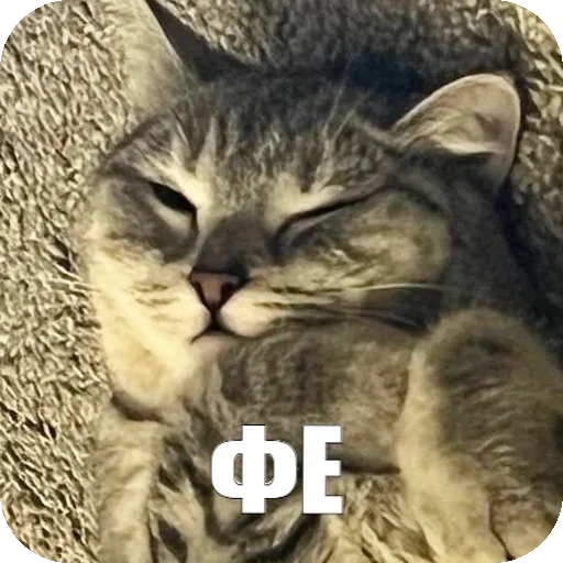 😝 Стикер «Yuki» для Telegram