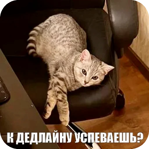 😏 Стикер «Yuki» для Telegram