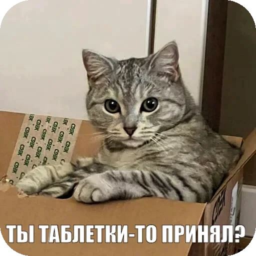 💊 Стикер «Yuki» для Telegram