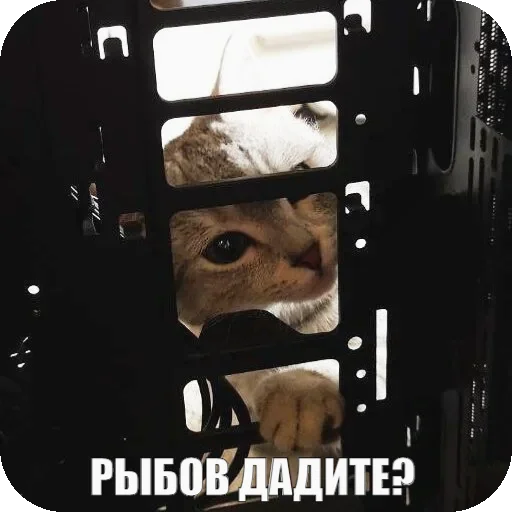 🥹 Стикер «Yuki» для Telegram