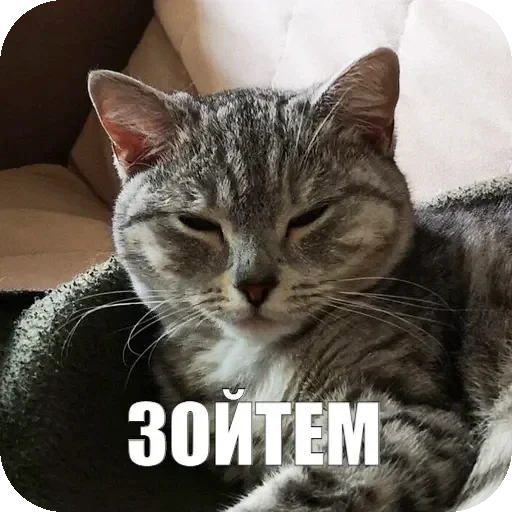 💁‍♀ Стикер «Yuki» для Telegram