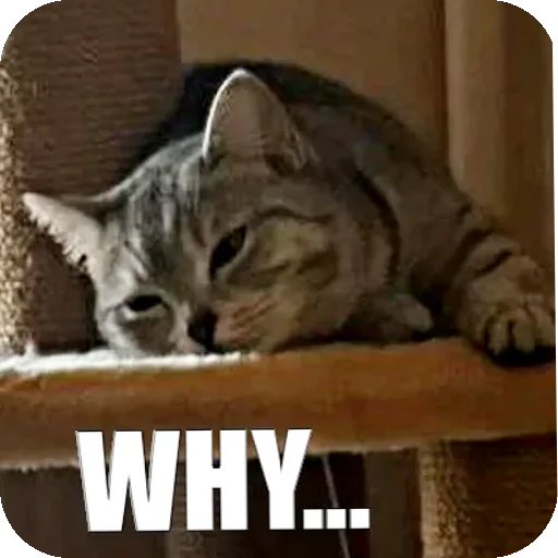 😞 Стикер «Yuki» для Telegram
