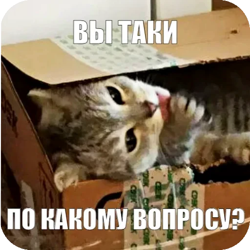 🤔 Стикер «Yuki» для Telegram