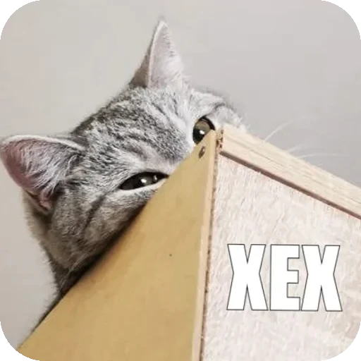 😀 Стикер «Yuki» для Telegram