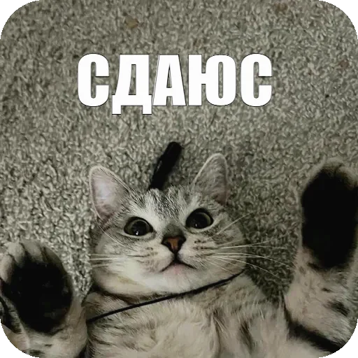🏳 Стикер «Yuki» для Telegram