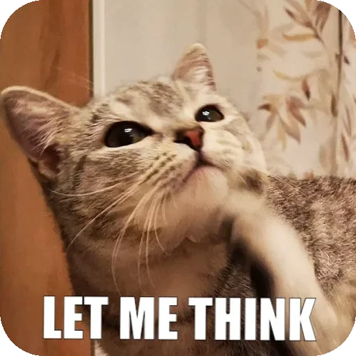 🧐 Стикер «Yuki» для Telegram