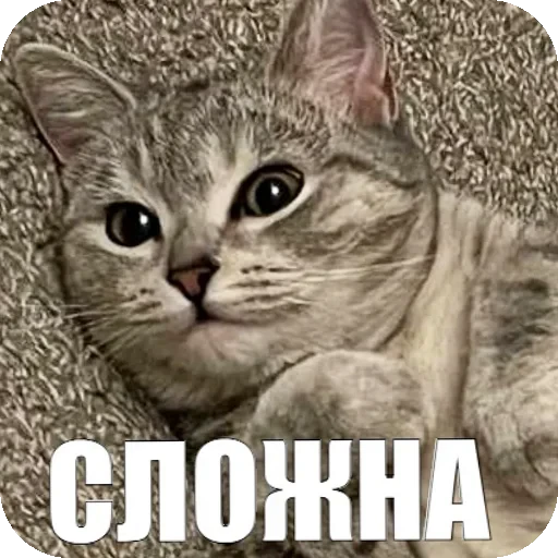 😓 Стикер «Yuki» для Telegram