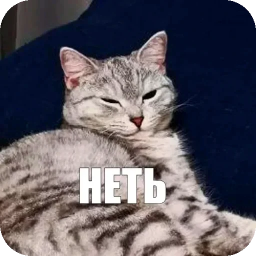 ➖ Стикер «Yuki» для Telegram