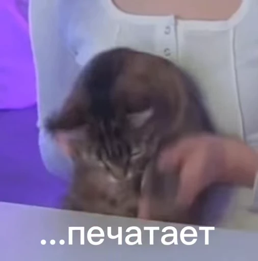 💬 Стикер «Юми» для Telegram