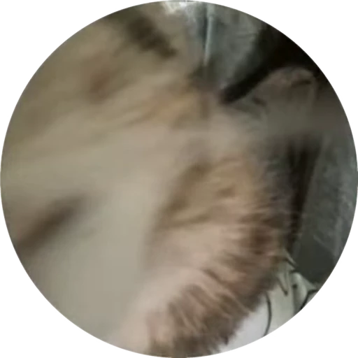 😽 Стикер «Юми» для Telegram