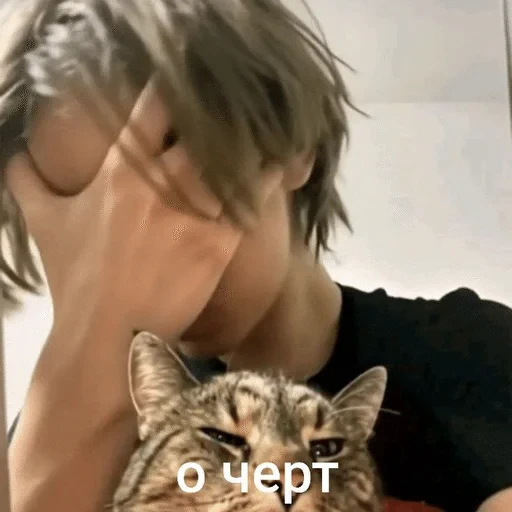 🌟 Стикер «а́ртурㅤㅤㅤㅤㅤㅤㅤㅤㅤㅤㅤ» для Telegram
