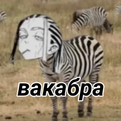 🦓 Стикер «Я епал название» для Telegram