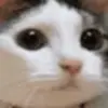 Стикер 44 Epic Mix #memes
