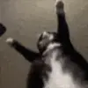 Стикер 40 Epic Mix #memes