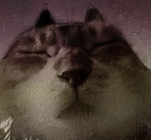 😾 Стикер «Ð§ÐÐ "ÐÐ²ÐµÑÐ¸Ð½ÐµÑ"» для Telegram