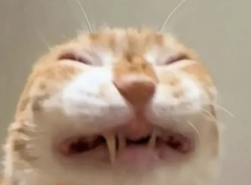 😿 Стикер «Ð§ÐÐ "ÐÐ²ÐµÑÐ¸Ð½ÐµÑ"» для Telegram