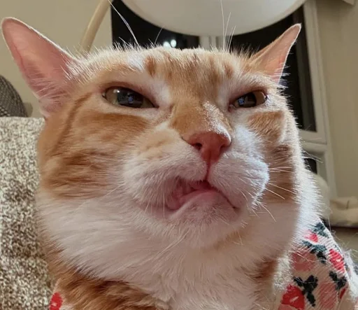 😾 Стикер «Ð§ÐÐ "ÐÐ²ÐµÑÐ¸Ð½ÐµÑ"» для Telegram