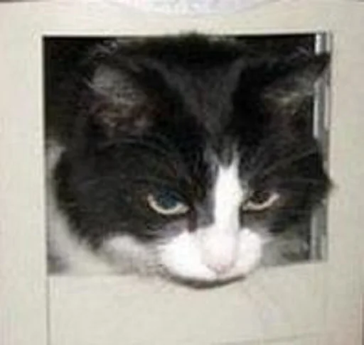 😾 Стикер «Ð§ÐÐ "ÐÐ²ÐµÑÐ¸Ð½ÐµÑ"» для Telegram