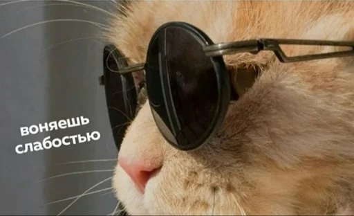 🧐 Стикер «Зачем писать?» для Telegram