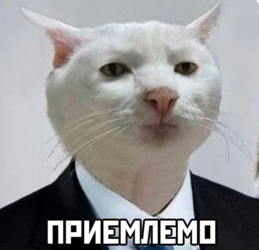 🧐 Стикер «Зачем писать?» для Telegram