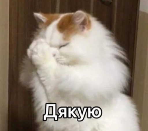 🙏 Стикер «Зачем писать?» для Telegram