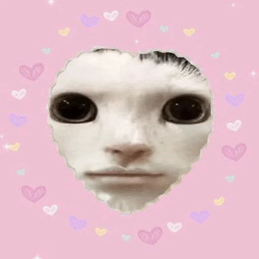 ❤️ Стикер «Zaga на каждый день» для Telegram