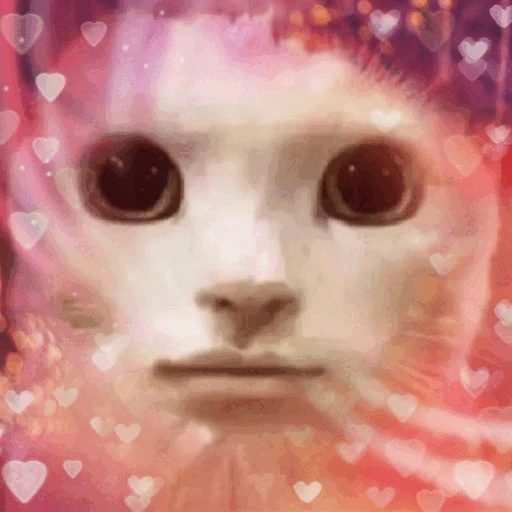 🥰 Стикер «Zaga на каждый день» для Telegram