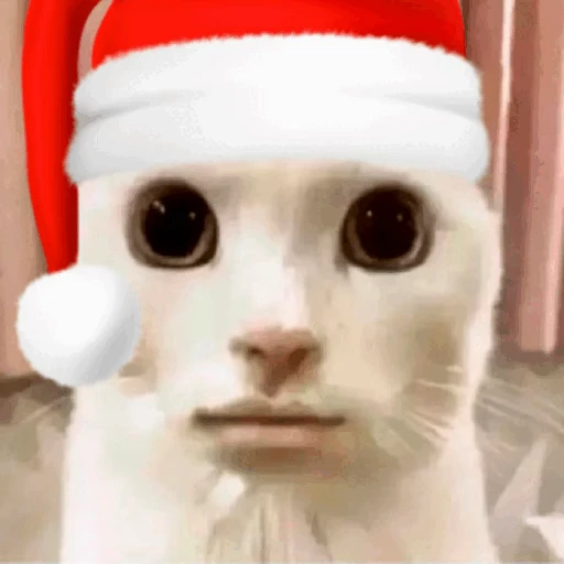 🧑‍🎄 Стикер «Zaga на каждый день» для Telegram