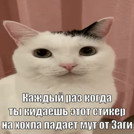 🤩 Стикер «Zaga на каждый день» для Telegram