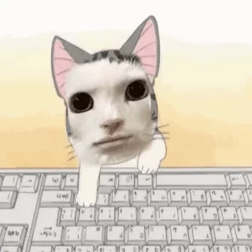 ⌨️ Стикер «Zaga на каждый день» для Telegram
