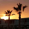 🌅 Эмодзи «закаты» для Telegram