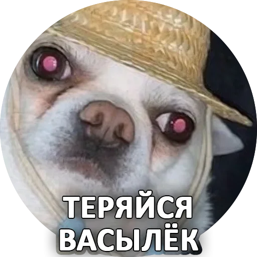 😉 Стикер «За мат извини» для Telegram