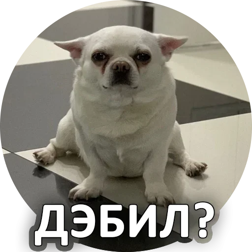 😉 Стикер «За мат извини» для Telegram
