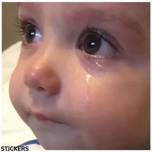 🥺 Стикер «??همچی اینجاس» для Telegram