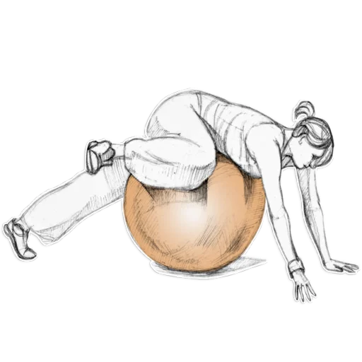 ⛷️ Стикер «Zanimaisyadoma» для Telegram