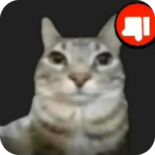 😼 Стикер «Зазу» для Telegram