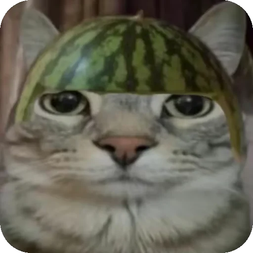 🍉 Стикер «Зазу» для Telegram