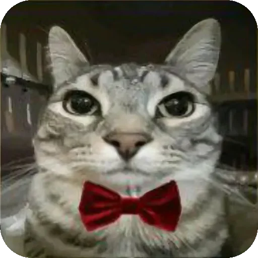 🤵 Стикер «Зазу» для Telegram