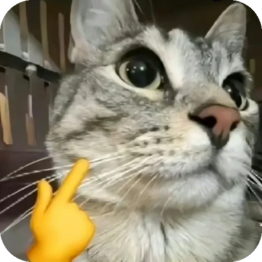 🤫 Стикер «Зазу» для Telegram