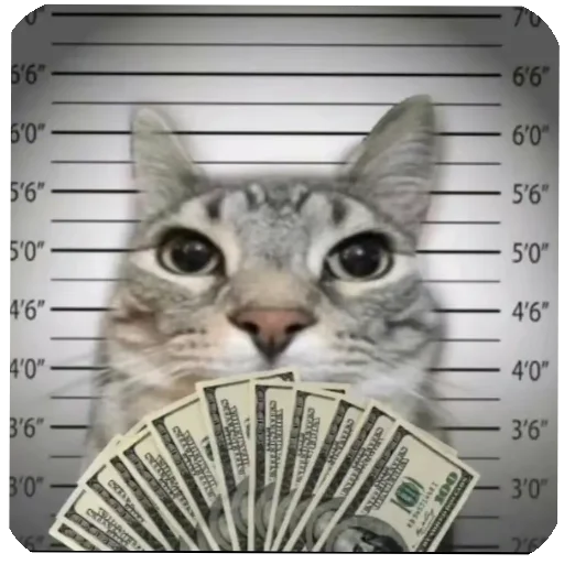 💵 Стикер «Зазу» для Telegram