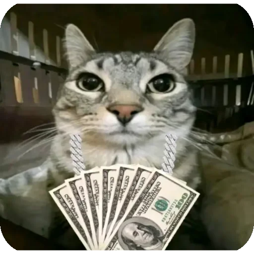 💵 Стикер «Зазу» для Telegram