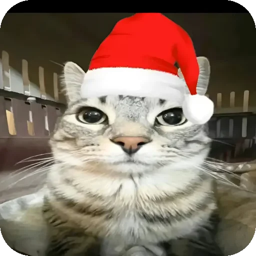 🍾 Стикер «Зазу» для Telegram
