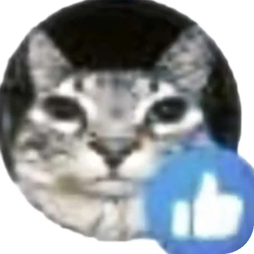 👍 Стикер «Зазу» для Telegram